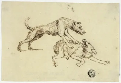 Two Dogs Fighting