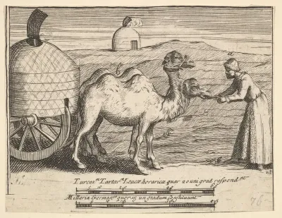 Two Dromedaries (Aubry de La Mottraye's "Travels throughout Europe, Asia and into Part of Africa...," London, 1724, plate 314)