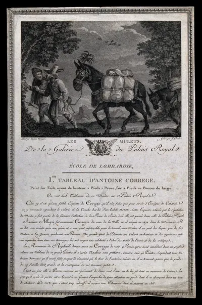 Two drovers walking with their packed mules through a forest at night