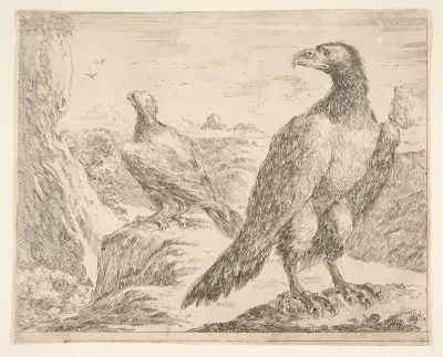 Two Eagles, from "Eagles"  (Les Aigles)