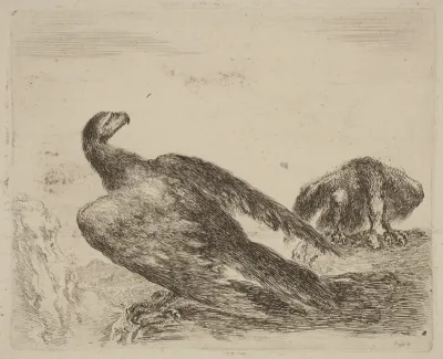 Two Eagles on a Promitory