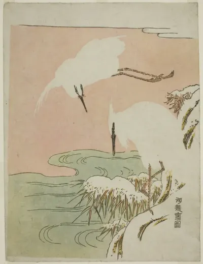 Two Egrets in the Snow