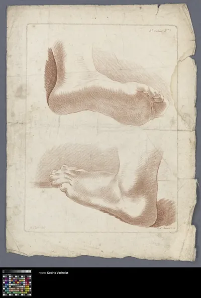 Two feet