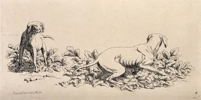Two figures of hunting dogs playing