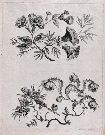 Two floral designs, perhaps for woven silk fabric