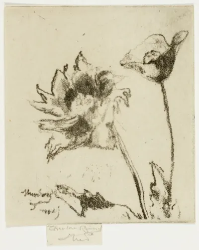 Two Flowers