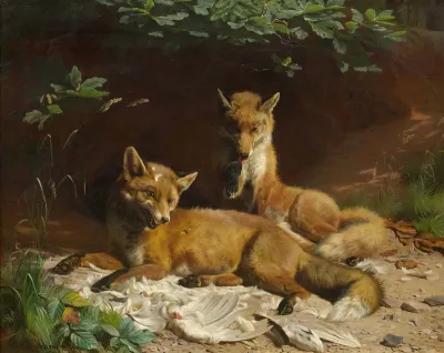 Two foxes