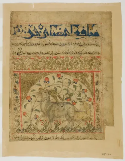 Two Goats from Manafi' al-Hayawan (On the Usefulness of Animals) of Ibn Bakhtishu'