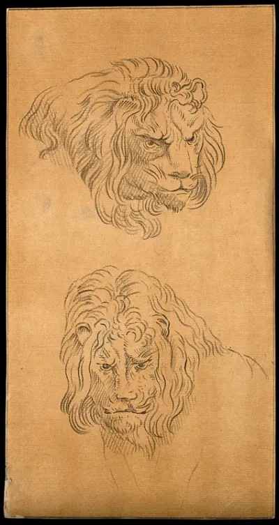 Two heads of lions
