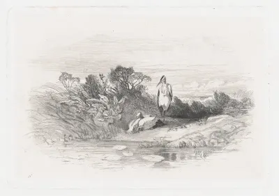 Two Herons