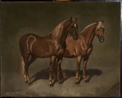 Two horses