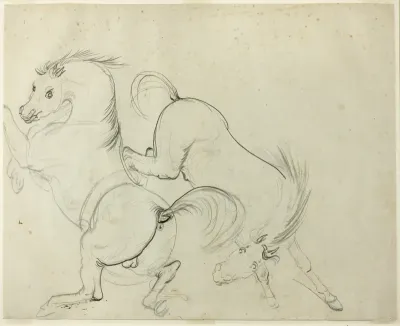 Two Horses Cavorting (recto); Man on a Kicking Horse (verso)