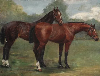 Two horses in a field.