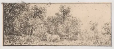 Two Horses in the Woods