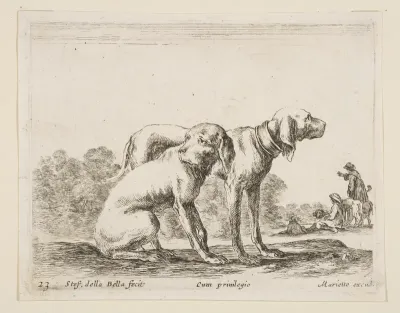 Two hounds, plate 23 from "Various Animals" (Diversi Animali)