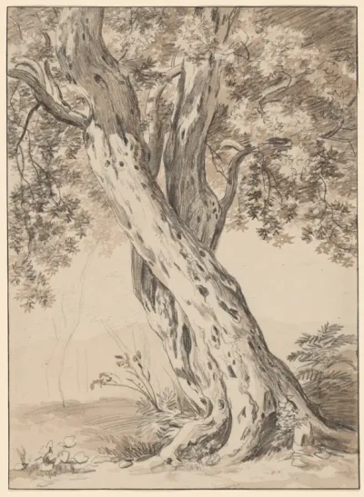 Two Intertwined Oak Trees
