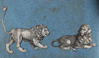 Two lions. Cut-out engravings pasted onto paper, 16--?
