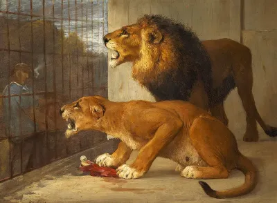 Two lions in a cage.
