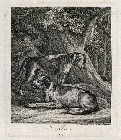 Two male boarhounds resting in front of a tree in a forest