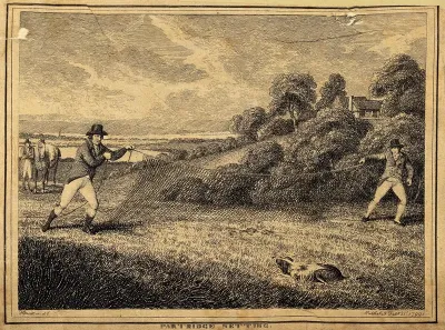 Two men catching partridges by trapping them in a net and letting a dog track the birds down