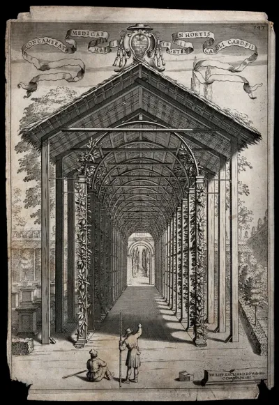 Two men in the garden of Cardinal Carlo Pio di Savoia admiring a pergola on which citron fruits are growing