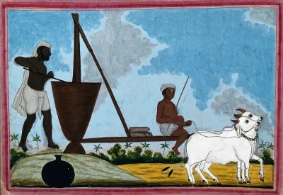 Two men perhaps milling foodstuffs in a vat with a millwheel driven by two oxen