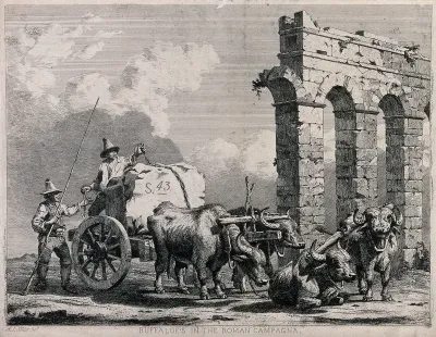 Two men securing a large block of stone on a cart drawn by four buffalo