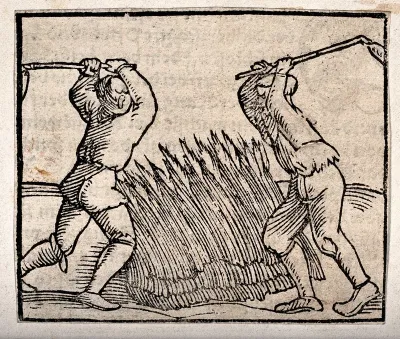 Two men threshing a crop with long-handled flails