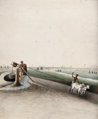 Two men using a pulley drawn by oxen to draw water from a well