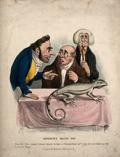 Two men with a physician, discussing the chameleon on the table before them