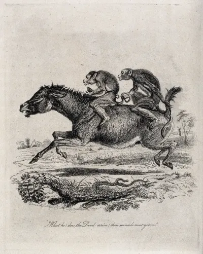 Two monkey jockeys are riding a terrified donkey