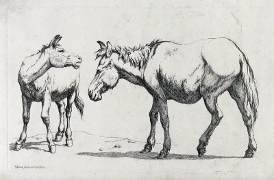 Two mules, one neighing