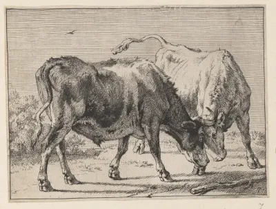 Two Oxen Fighting, from Various Oxen and Cows