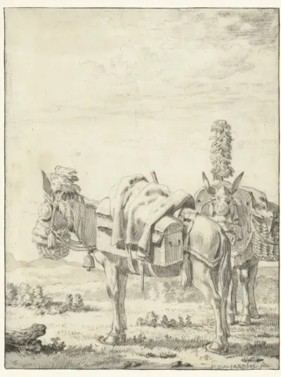 Two Pack Mules