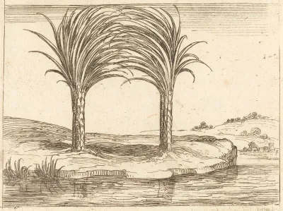 Two Palm Trees