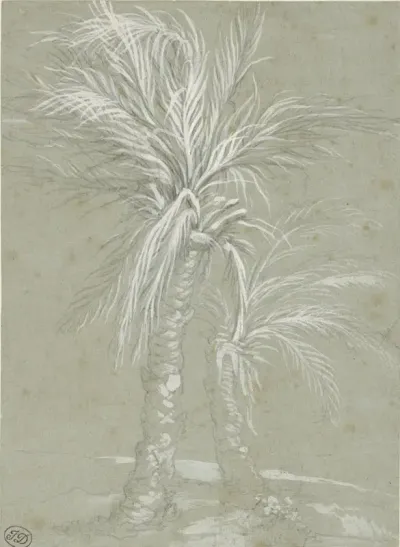 Two Palm Trees
