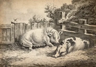 Two pigs lying in straw in an outdoor pen