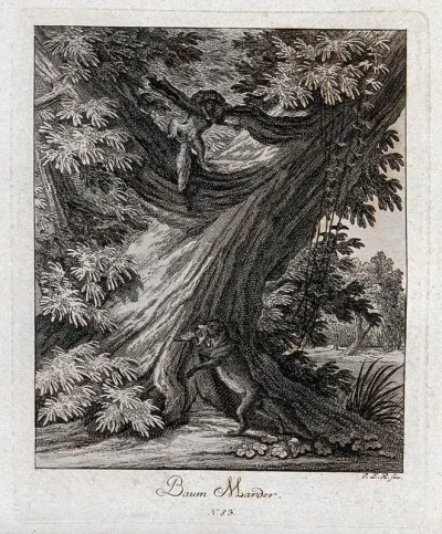 Two pine martens in a forest, the marten on the ground is devouring is prey, while the other one is clambering in a tree