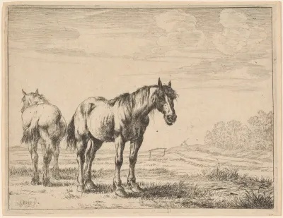 Two Plow Horses Standing in a Field