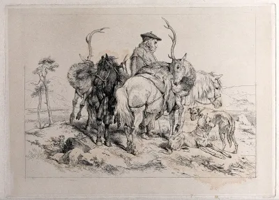 Two ponies, each with a dead stag on its back, in a hilly landscape