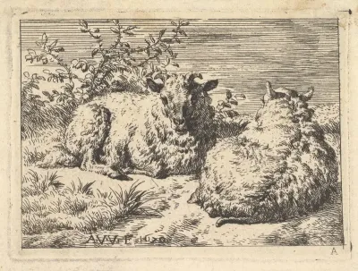 Two Recumbent Sheep