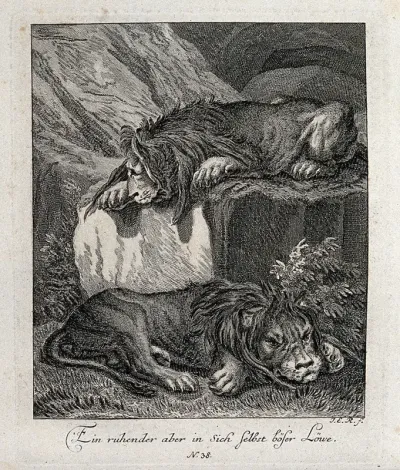 Two resting lions: one is sitting on a rock, the other one lying on the ground