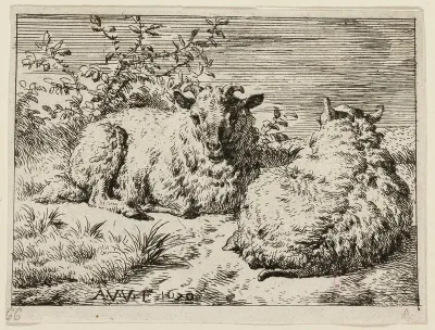 Two Sheep
