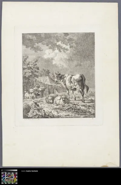 Two sheep, a cow and two mules
