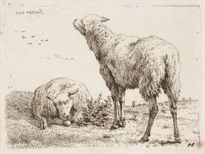 Two Sheep and Flying Birds
