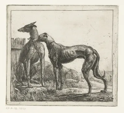 Two sighthounds