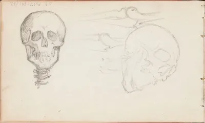 Two Skulls and Bones