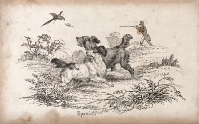 Two spaniels chasing after fowl that the huntsman is about to shoot