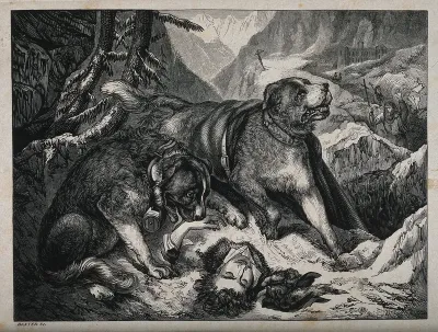 Two St. Bernard dogs find an injured man, while one tries to revive him the other alerts the rescue party of his presence. Wood engraving by Baxter after E. Landseer