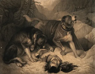 Two St. Bernard dogs with an avalanche victim, one tries to revive him while the other alerts the rescue party. Line engraving by J. Landseer, 1831, after E. Landseer